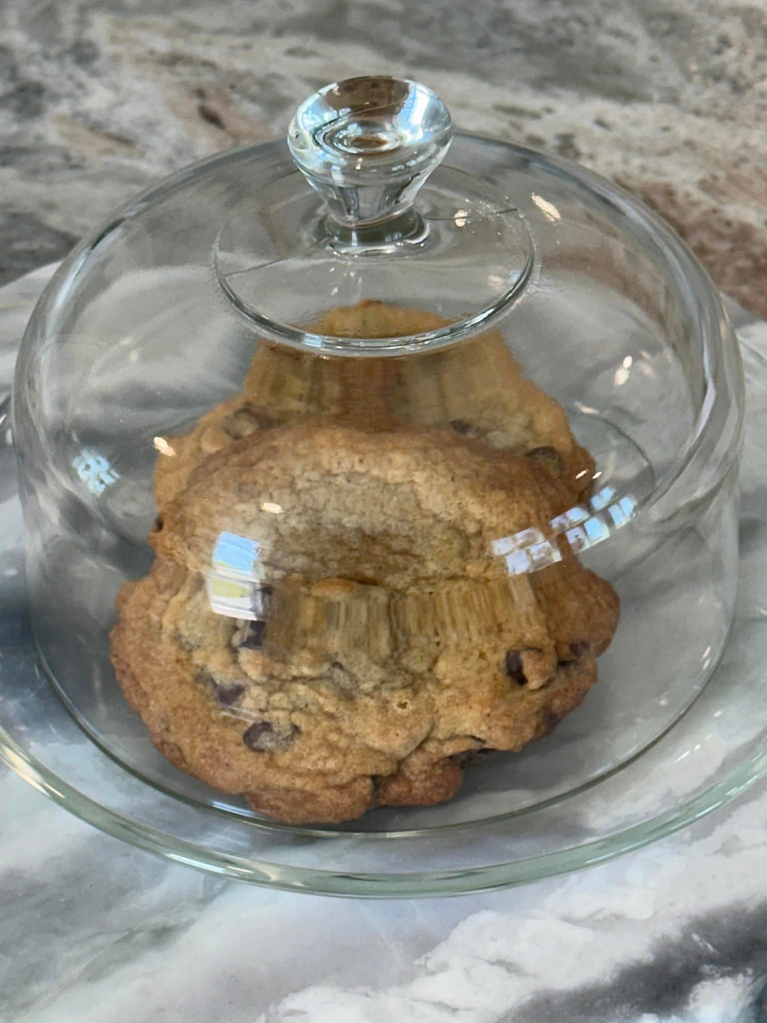 Chocolate chip cookies under a glass dome