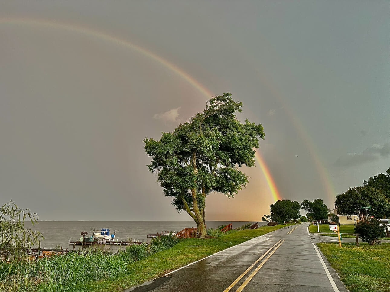 Rainbow over lakeside road and tree