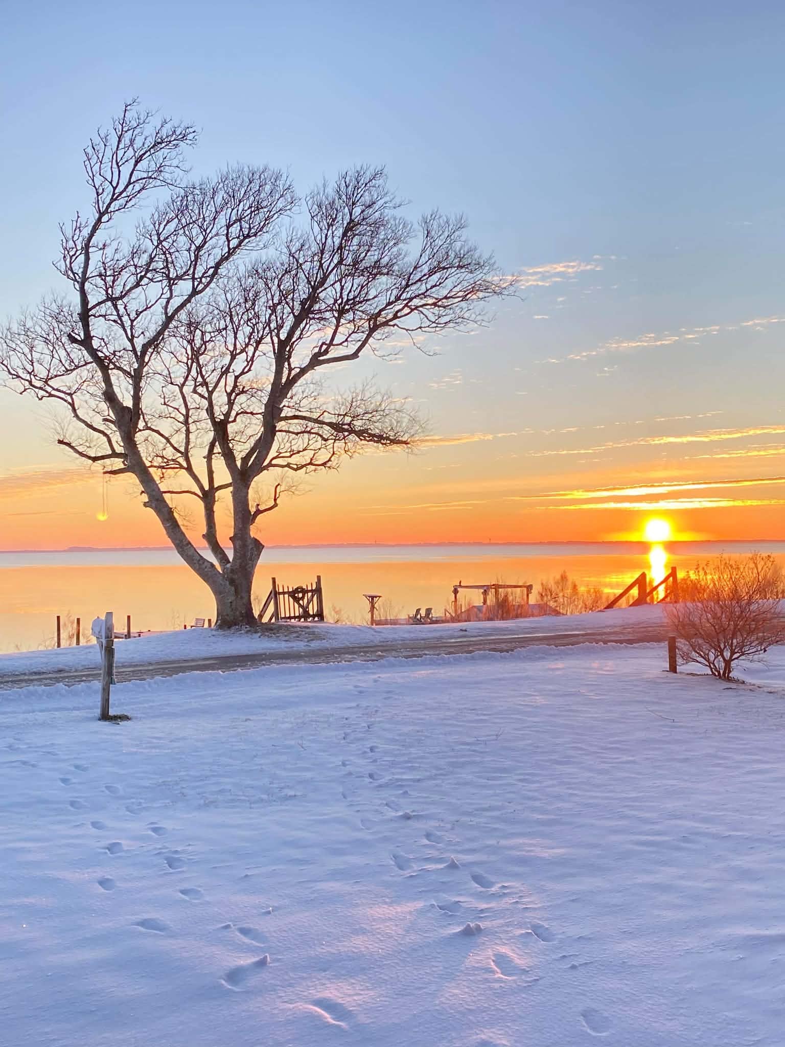Snow-covered soundfront at sunrise with a tree and dock